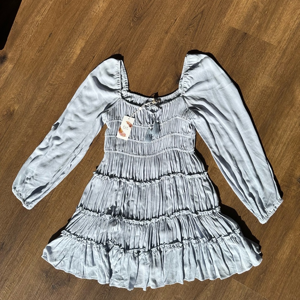 NWT Chelsea and Violet pleated dress